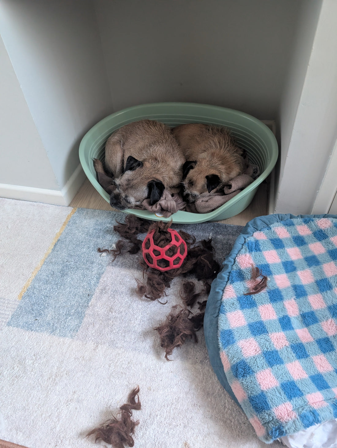 Answers to common enrichment questions!