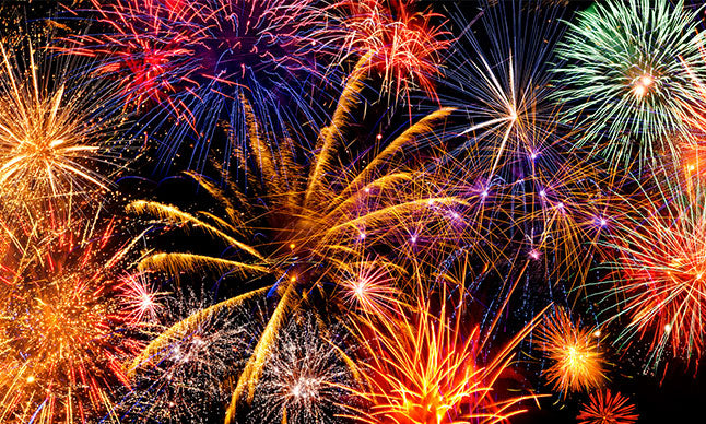 Why Enrichment Should Be Part of Your Fireworks Prep for Your Dog