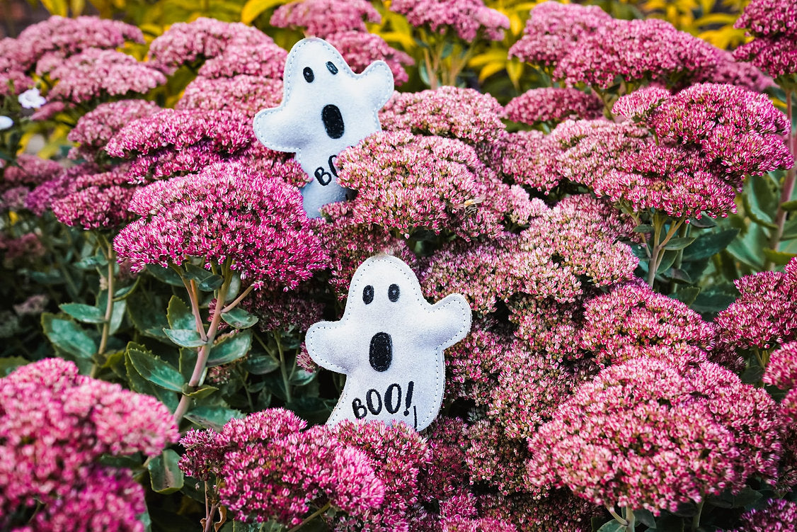Ghost BOO PAUL Small Breed Eco Dog Toy