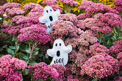 Ghost BOO PAUL Small Breed Eco Dog Toy