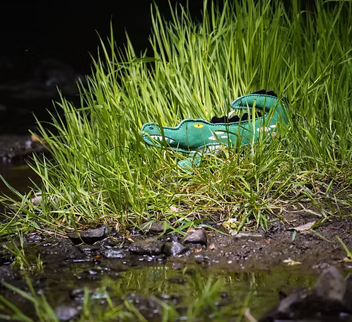 Clive the Crocodile eco dog toy
