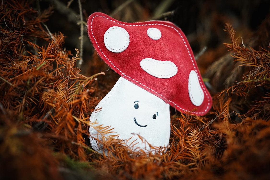 Marie the Mushroom eco dog toy