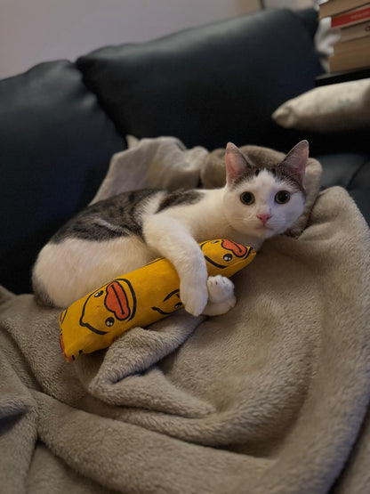 Cat kicker toy
