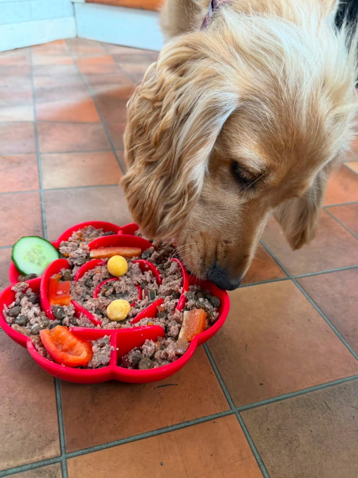 Rose lick bowl