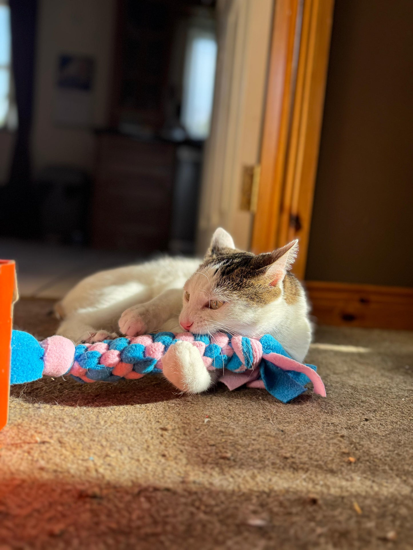 Matatabi cat kicker