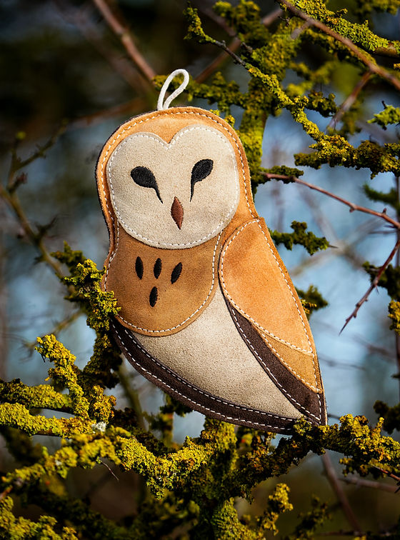 Elder the Owl (Cat Nip Infused) Eco Dog and Cat Toy